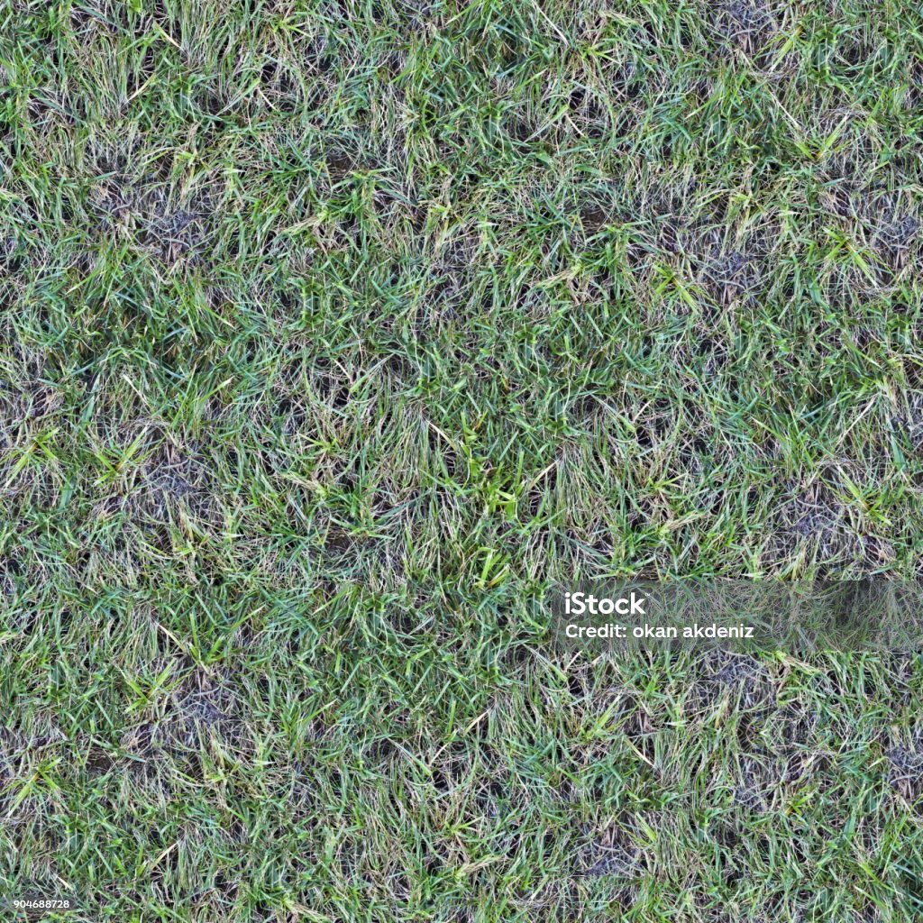 Seamless Tileable Grass Ground Pattern Texture Stock Photo - Download ...