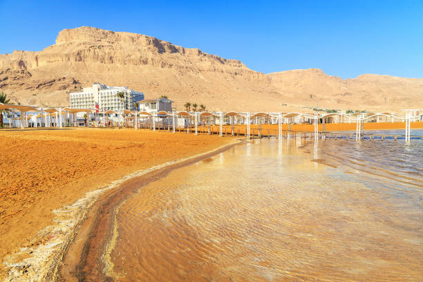 istock Panorama of Ein Bokek with Death Sea 904691080