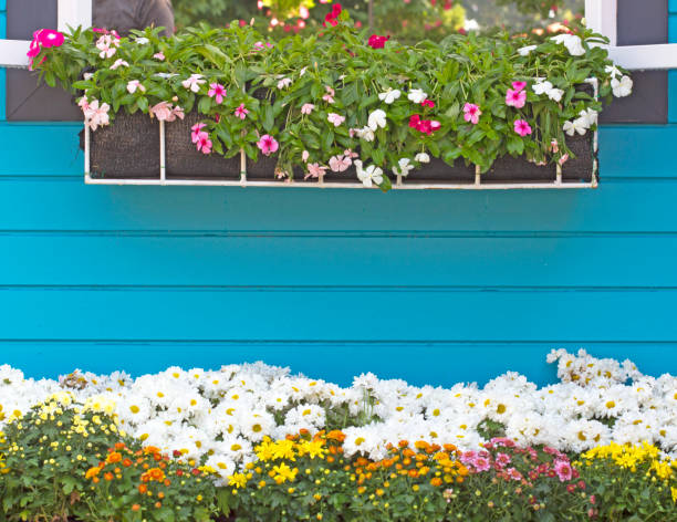 istock Wood and flower walls 904697182