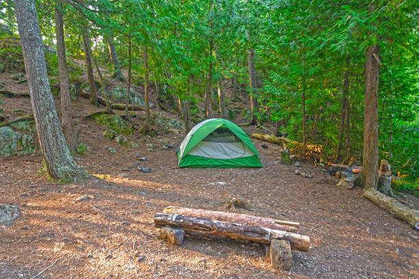 istock Wilderness Camp in the North Woods 904697344