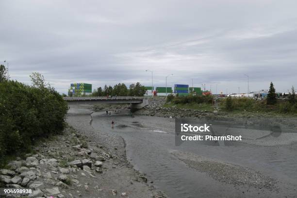 Riverbed In Anchorage Kink River Stock Photo - Download Image Now - Bud, Flowerbed, Horizontal