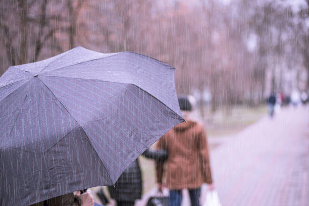 istock Close-up of dark umbrella during rain. 904701782