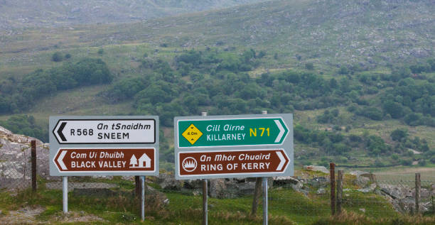 istock Directional signs in rural Ireland 904706664