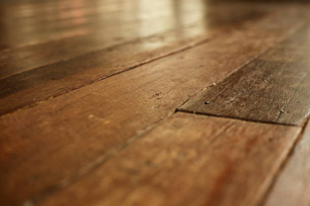 istock Wooden floor textures backgrounds 904727130