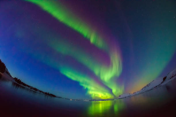 istock Colorful northern lights 904734926