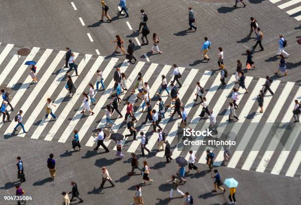 Shibuya Crossing Aus Draufsicht Stockfoto und mehr Bilder von Bevölkerungsexplosion - Bevölkerungsexplosion, Menschenmenge, Büro