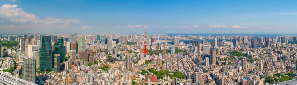 istock Tokyo skyline  with Tokyo Tower 904735110