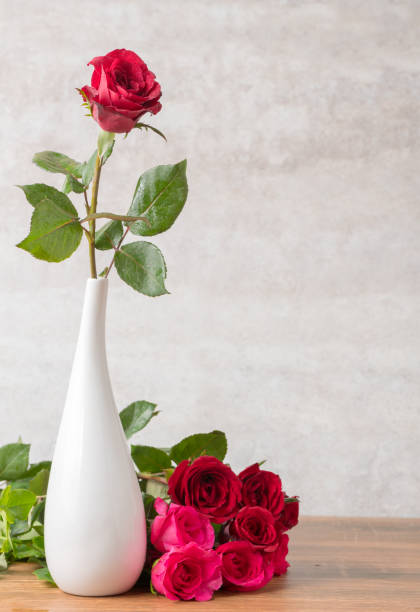 白い花瓶と大理石の背景の赤いバラ - rose dozen roses vase red ストックフォトと画像