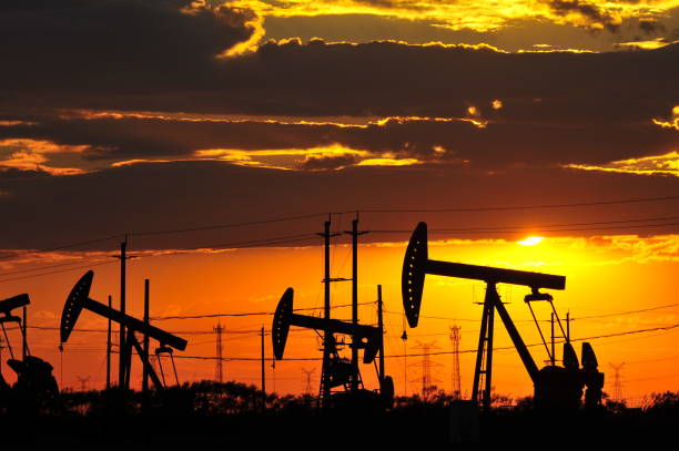 istock The oil pump 904766318