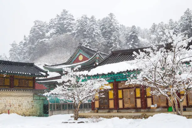 Photo of Asian temple Odaesan Woljeongsa with snow in Korea