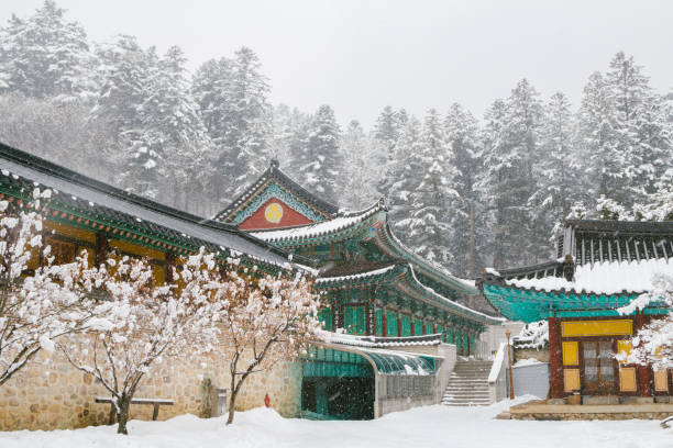 asian temple odaesan woljeongsa mit schnee in korea - snow park road cold stock-fotos und bilder