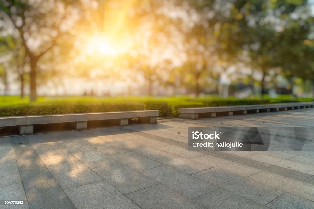 Beautiful park at a sunny day,shanghai,china City, Public Park, Flowerbed, Ornamental Garden, Cityscape Backgrounds Stock Photo