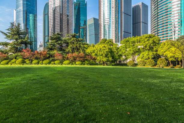 istock Green lawn with city skyline background 904770542