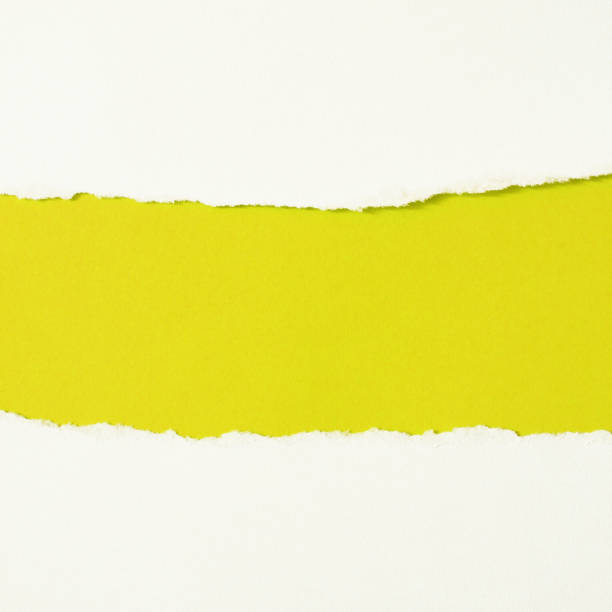 istock pieces of torn color paper 904773556