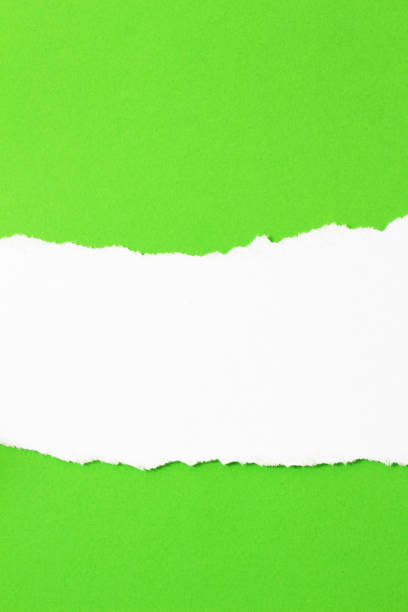 istock pieces of torn paper. copy space 904773858