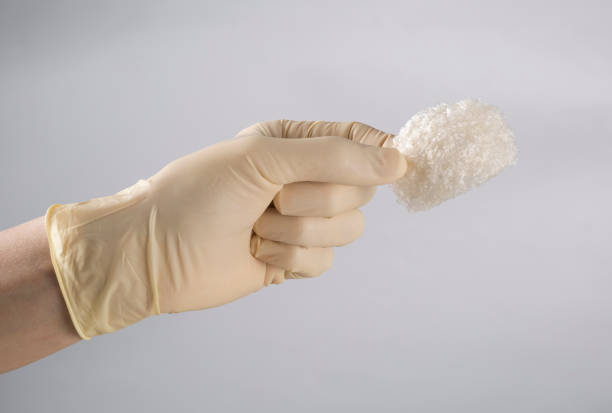 istock Researchers are studying a bird's nest 904781194