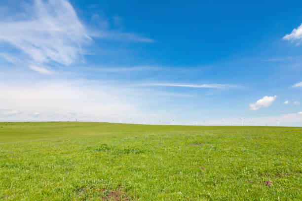 istock wind power station in the country 904787534