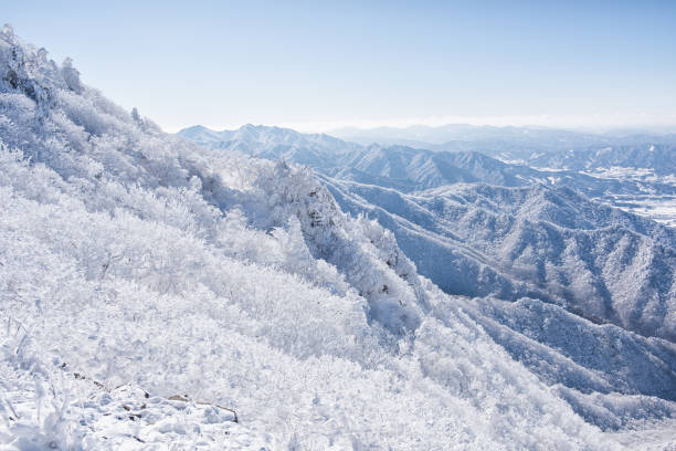 istock Winter Mountain Rime on Trees 904793360
