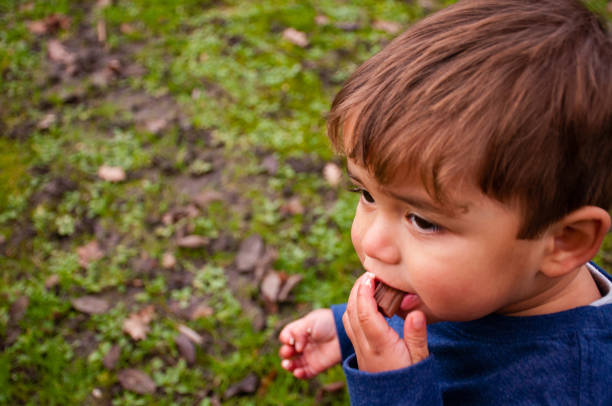 istock Toddler Boy Eating Chocolate 904793992