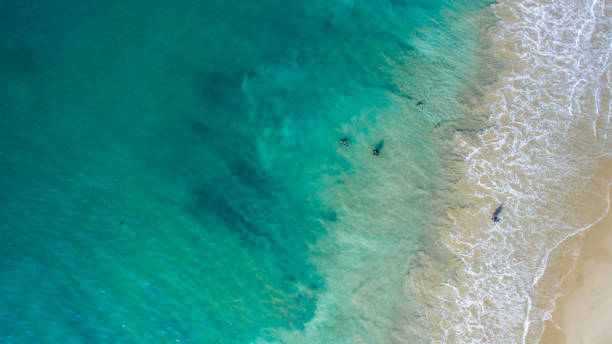 istock Colors of the Ocean in Laguna Beach, CA 904798366