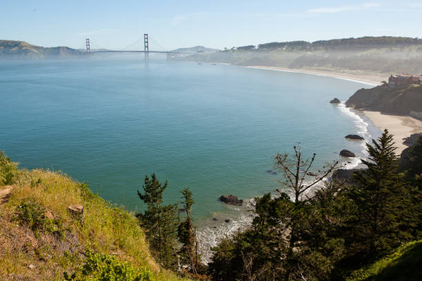 The view of Golden Gate bridge from the hill. The view of Golden Gate bridge from the hill. baker beach stock pictures, royalty-free photos & images