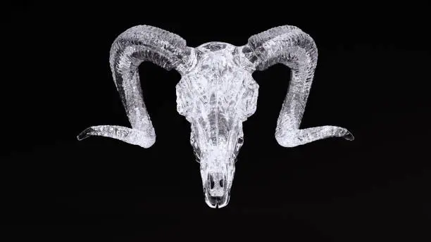 Photo of Ice Ram Skull