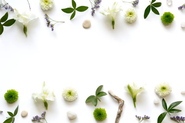istock Floral Arrangement On White Background 904806144