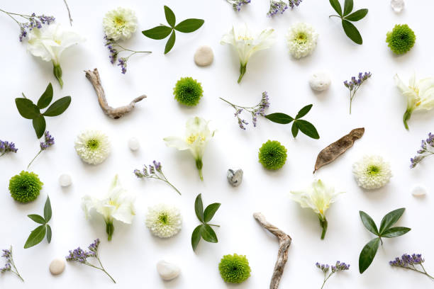 istock Floral Arrangement On White Background 904806148
