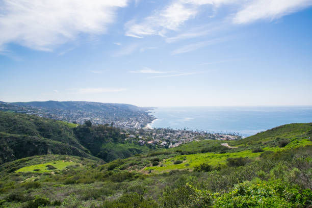 istock Beautiful Lush Laguna Beach, California 904809568