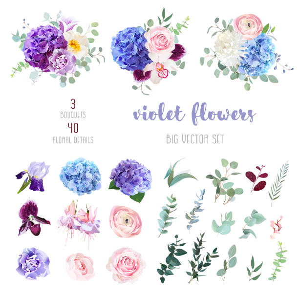 ilustrações, clipart, desenhos animados e ícones de violeta, roxas e azuis de flores e vegetação de grande conjunto de vetores - campanula flower design ornamental garden