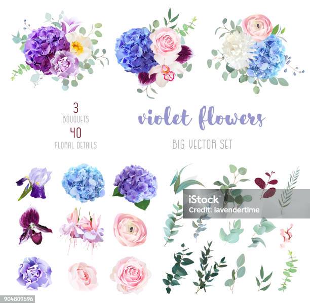 Violet Purple And Blue Flowers And Greenery Big Vector Set Stock Illustration - Download Image Now