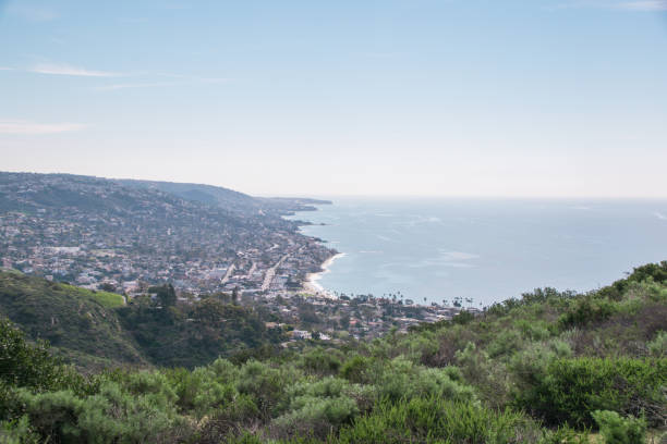 istock Beautiful Lush Laguna Beach, California 904809606