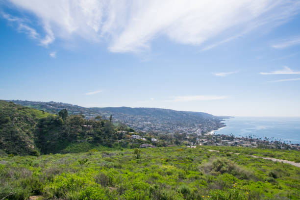 istock Beautiful Lush Laguna Beach, California 904809632
