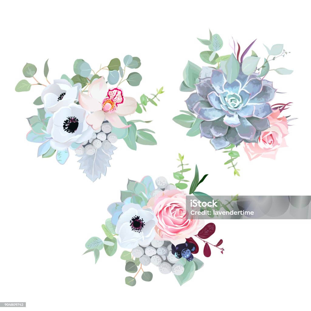 Fleurs de saison délicat mariage vector design bouquets - clipart vectoriel de Plante grasse libre de droits