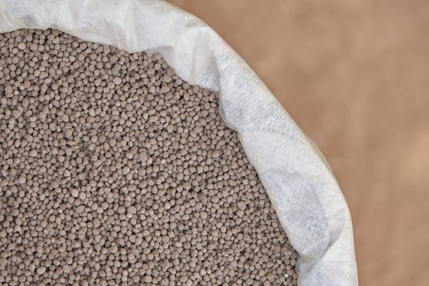 istock 18-46-0 , Diammonium phosphate (DAP) fertilizers in fertilizer bag. 904810004