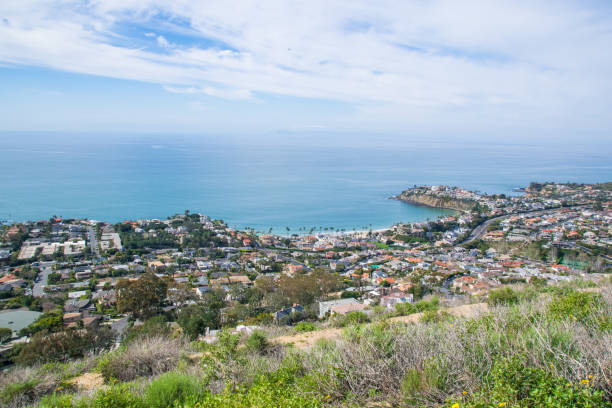 istock Beautiful Lush Laguna Beach, California 904810584