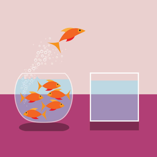 золотая рыбка выпрыгивая из воды. вектор плоский дизайн - fishbowl crowded goldfish claustrophobic stock illustrations