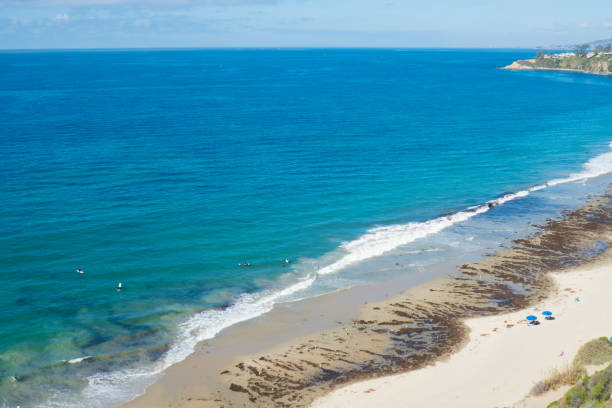 istock Beautiful Laguna Beach, Southern California 904814152