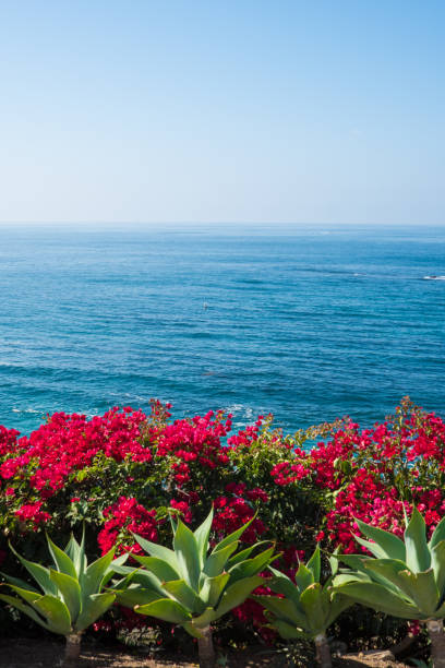 istock Beautiful Laguna Beach, Southern California 904817644