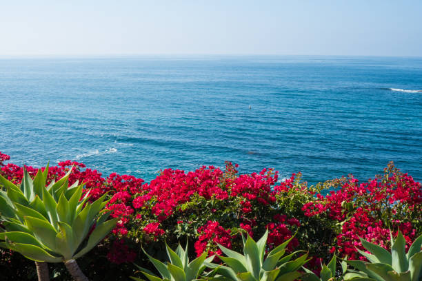 istock Beautiful Laguna Beach, Southern California 904817742