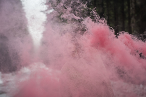 Young woman portrait outdoors in the woods with smoke bombs; Europe.