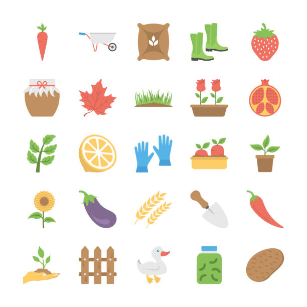 сельское хозяйство и сельское хозяйство плоский вектор иконы - barley grass illustrations stock illustrations