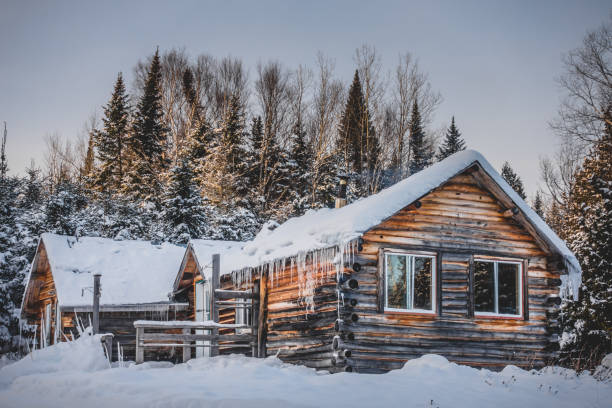 Canadian Round Log Wood Shack during Beautiful Winter Sunset