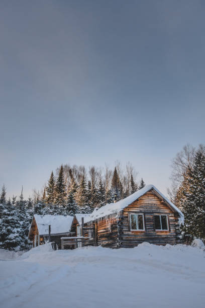 Canadian Round Log Wood Shack during Beautiful Winter Sunset
