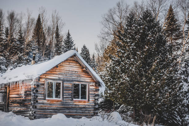 istock Canadian Round Log Wood Shack during Winter 904840732