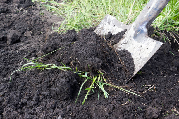 istock Shovel digging. Treatment of the soil. 904842298
