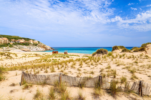 Grass on sand dunes and beach view, Cala Mesquida, Majorca island, Spain
