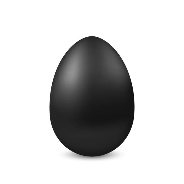 illustrazioni stock, clip art, cartoni animati e icone di tendenza di uovo nero realistico vettoriale isolato. - easter animal egg eggs single object