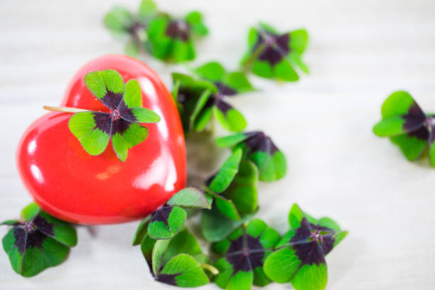 Heart with lucky clover, shamrocks, birthday, Valentine's Day,