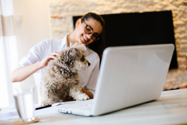 istock Young woman with her dog at home 904853216